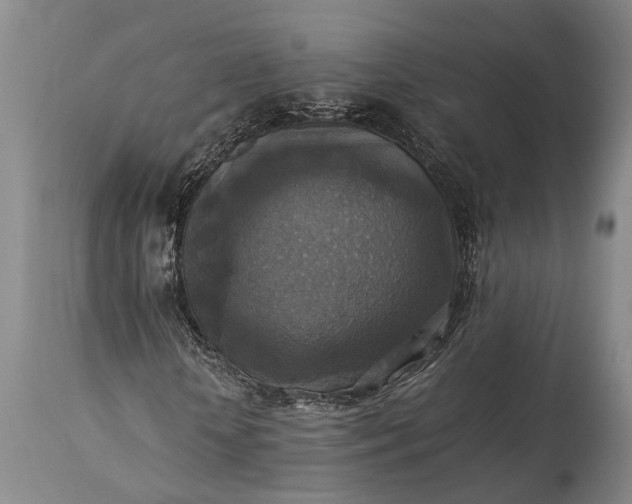 X0000115310818200911161719