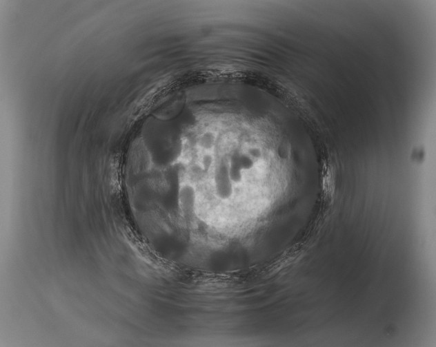 X0000115310819200911161719