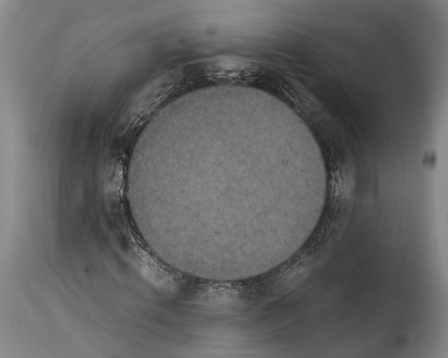 X0000115310820200911161719