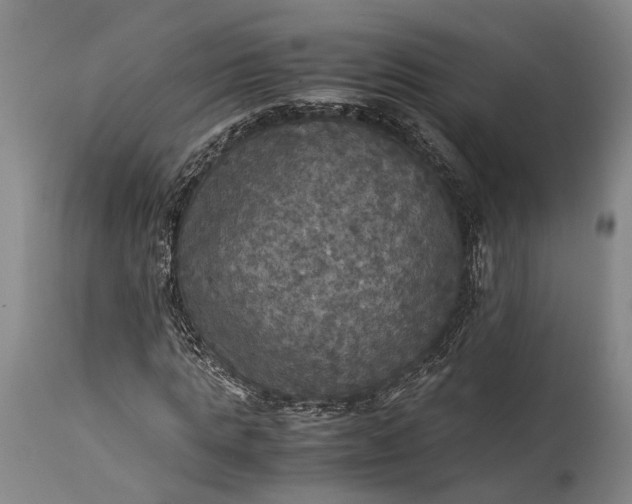 X0000115310821200911161719