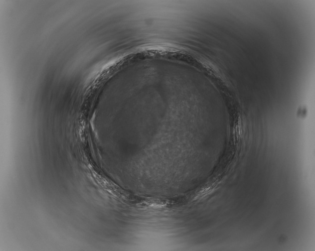 X0000115310822200911161719