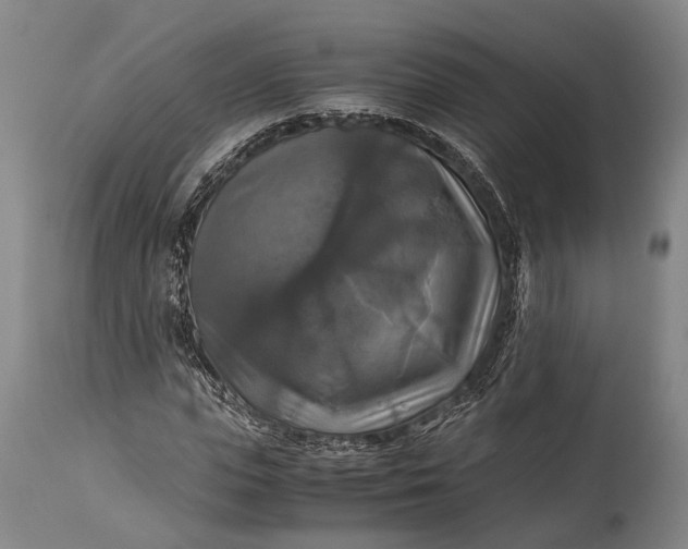 X0000115310823200911161719