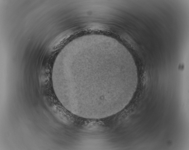 X0000115310824200911161719