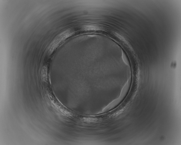 X0000115310825200911161719