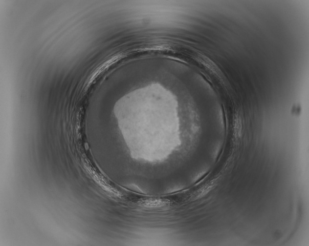 X0000115310826200911161719