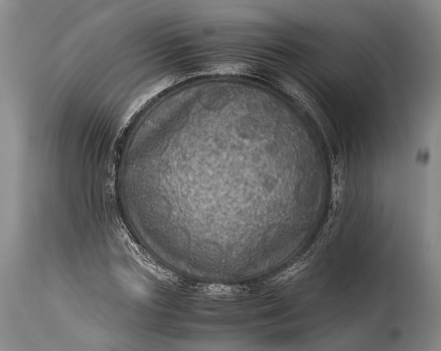 X0000115310827200911161719