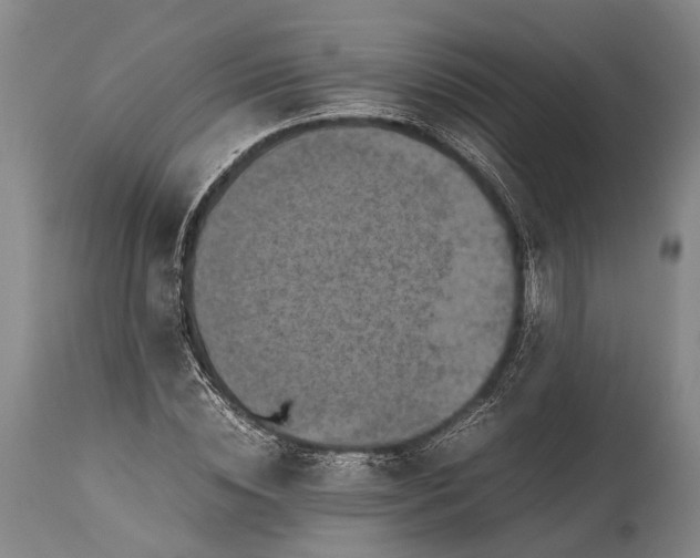 X0000115310828200911161719