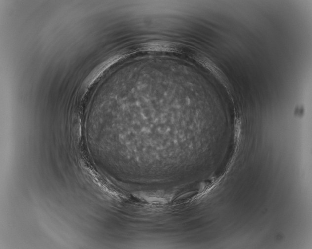 X0000115310829200911161719