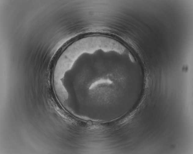 X0000115310830200911161719