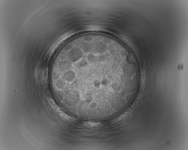 X0000115310831200911161719