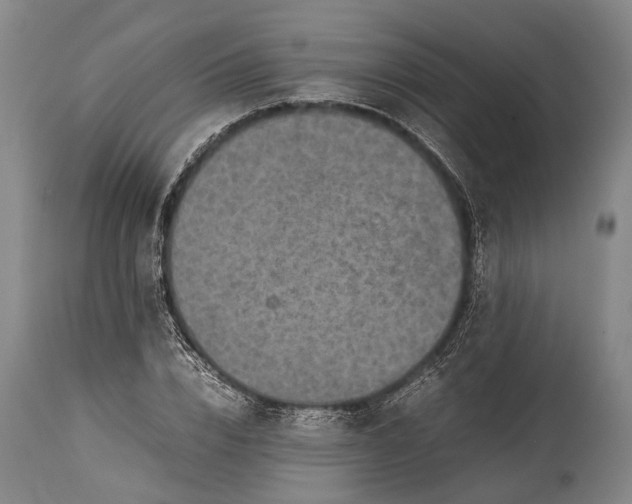 X0000115310832200911161719