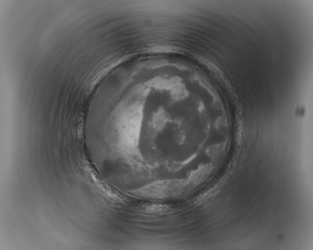 X0000115310833200911161719