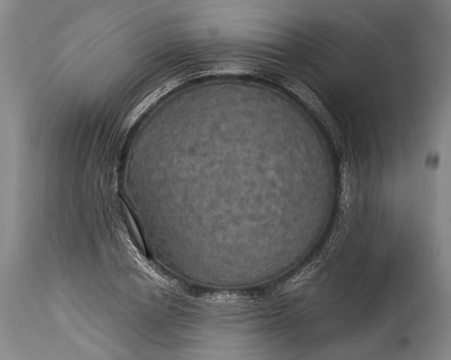 X0000115310834200911161719