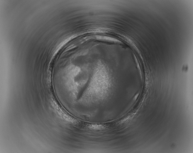 X0000115310835200911161719