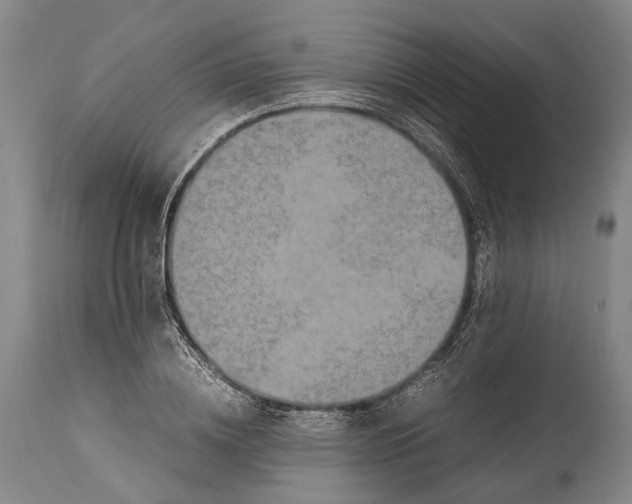 X0000115310836200911161719