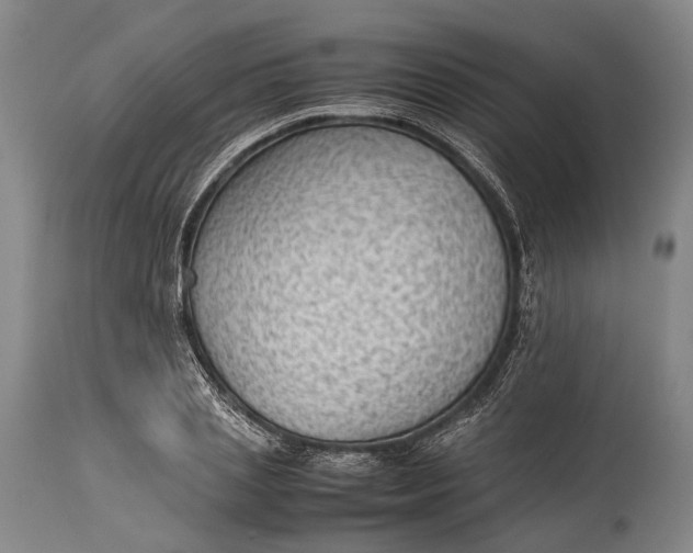 X0000115310837200911161719