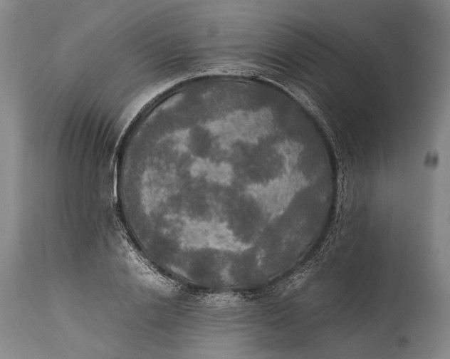 X0000115310838200911161719