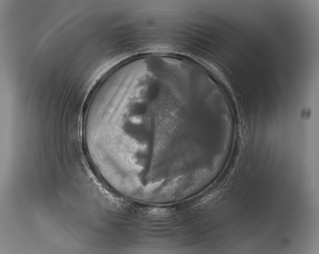 X0000115310839200911161719