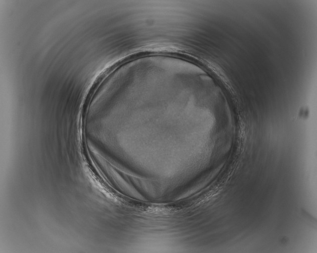 X0000115310840200911161719