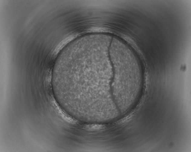 X0000115310841200911161719