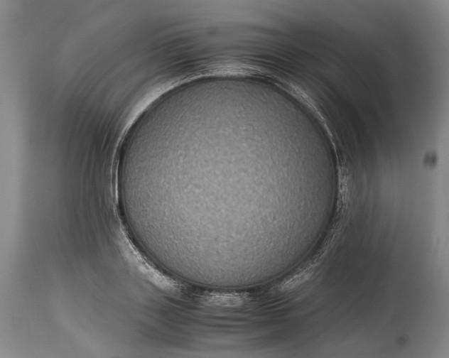 X0000115310843200911161719