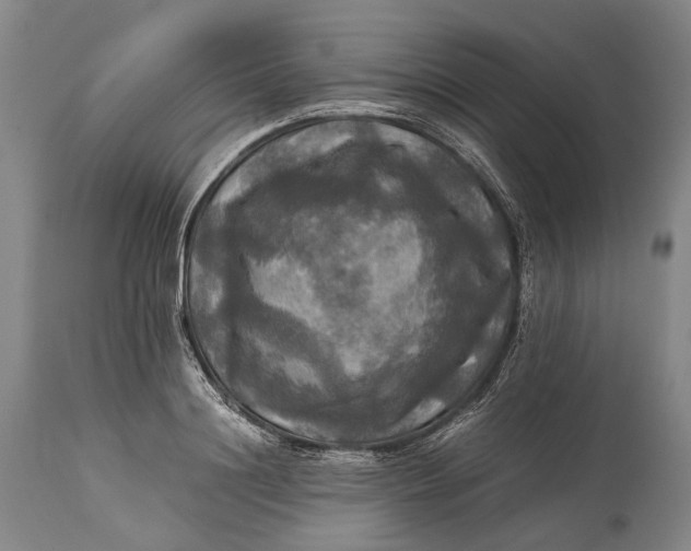 X0000115310844200911161719