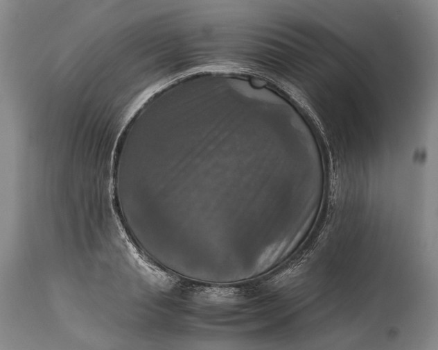 X0000115310845200911161719