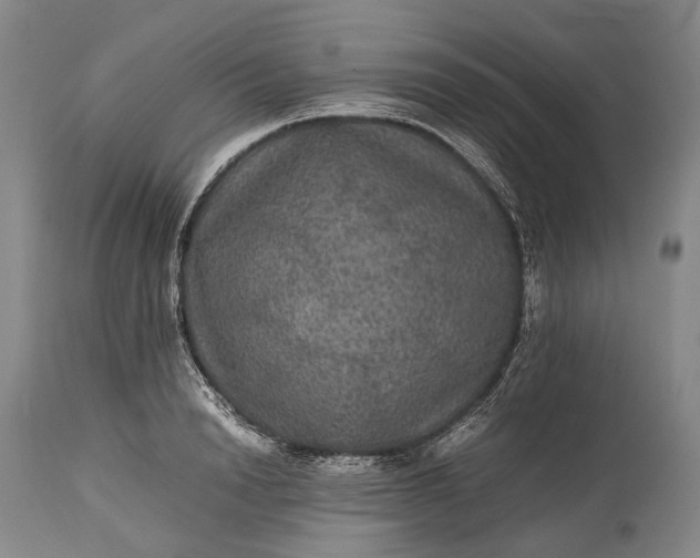 X0000115310846200911161719