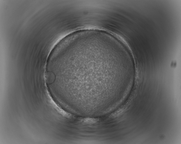 X0000115310847200911161719