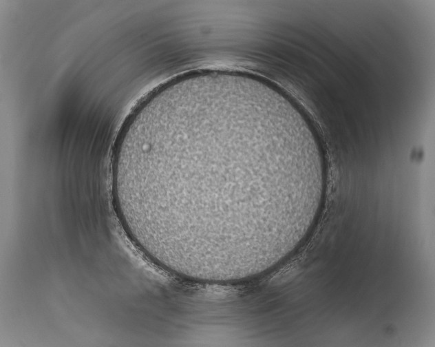 X0000115310848200911161719