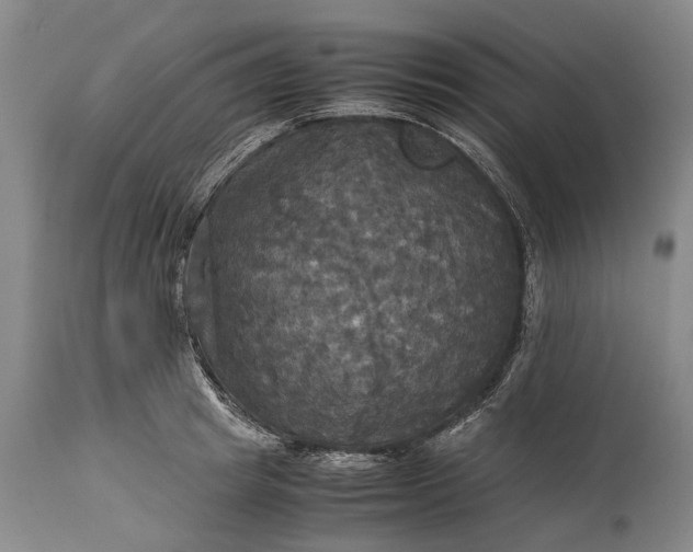 X0000115310849200911161719