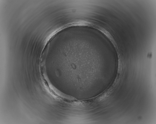 X0000115310850200911161719