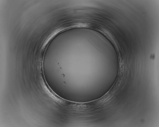 X0000115310851200911161719