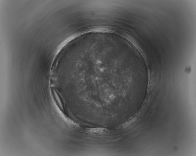 X0000115310853200911161719