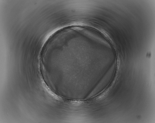 X0000115310854200911161719