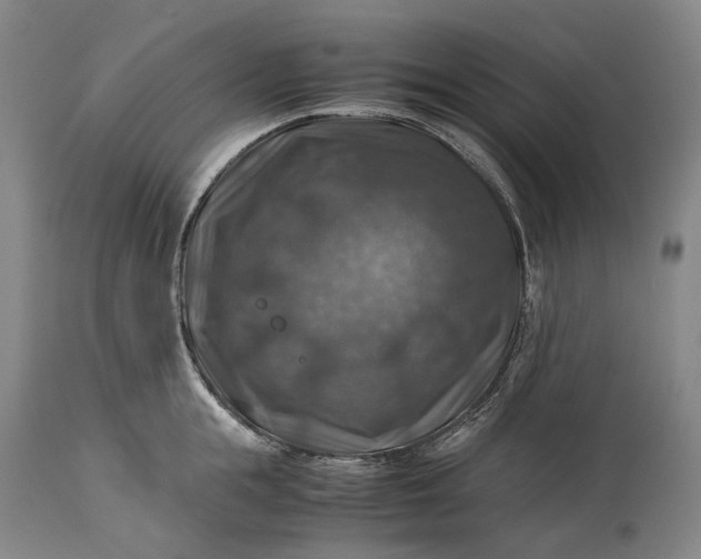 X0000115310855200911161719