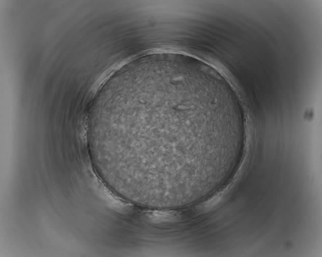 X0000115310857200911161719