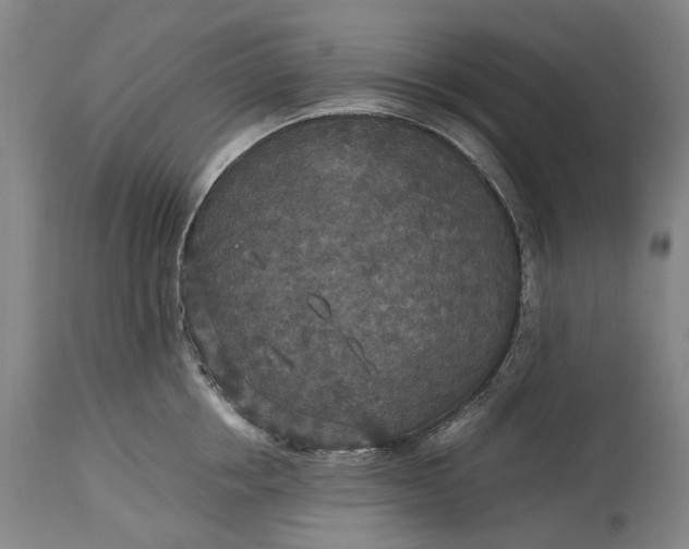 X0000115310858200911161719