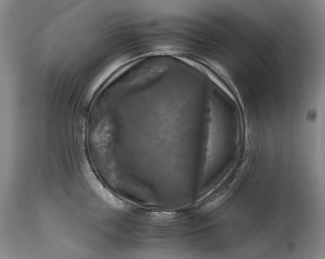 X0000115310859200911161720