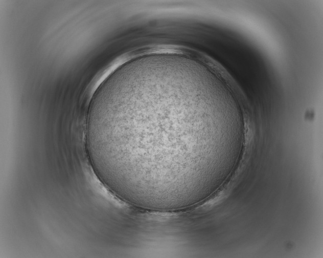 X0000115310860200911161720