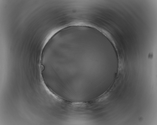 X0000115310863200911161720