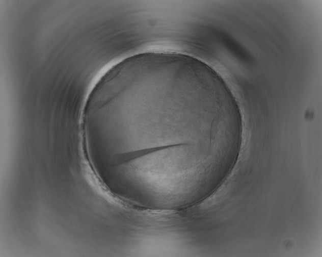 X0000115310864200911161720