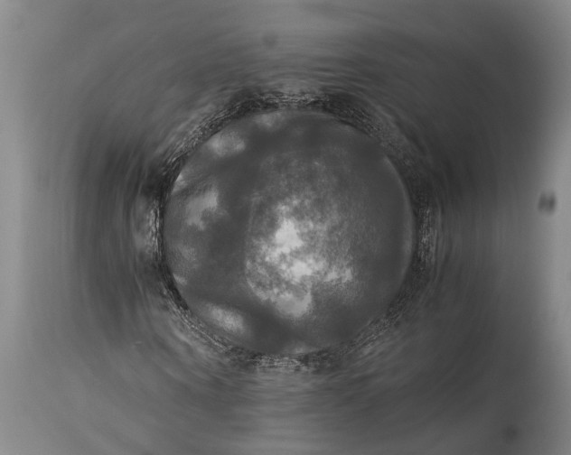 X0000115310866200911161719