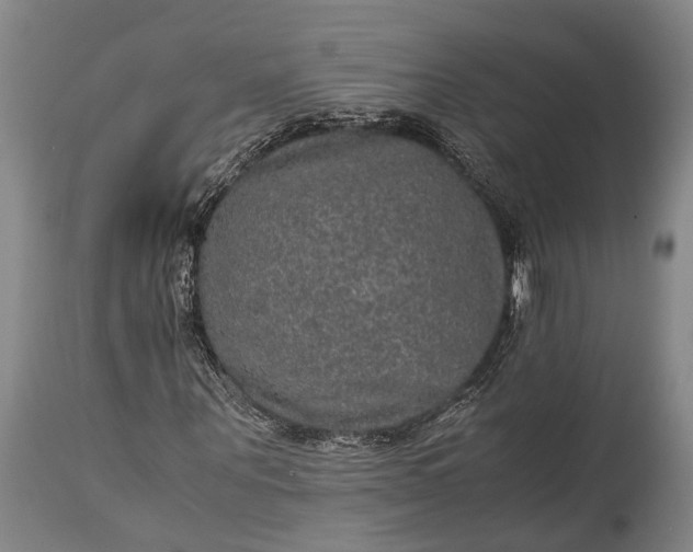 X0000115310867200911161719