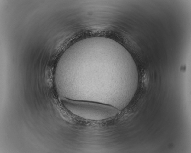 X0000115310868200911161719