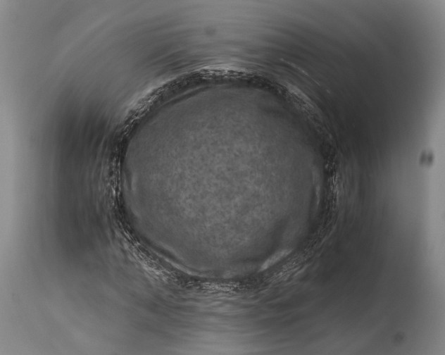 X0000115310870200911161719