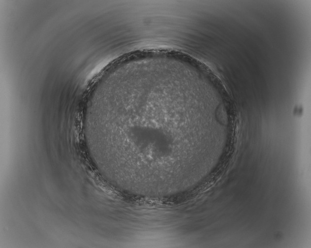 X0000115310871200911161719