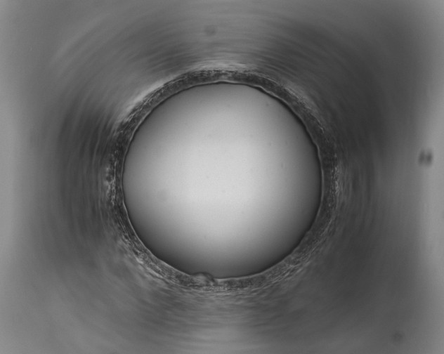 X0000115310872200911161719