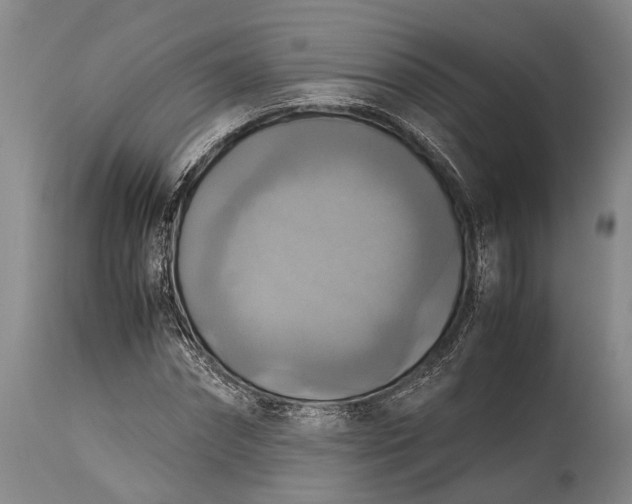 X0000115310874200911161719