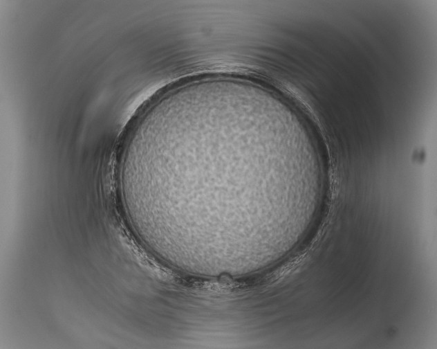 X0000115310875200911161719